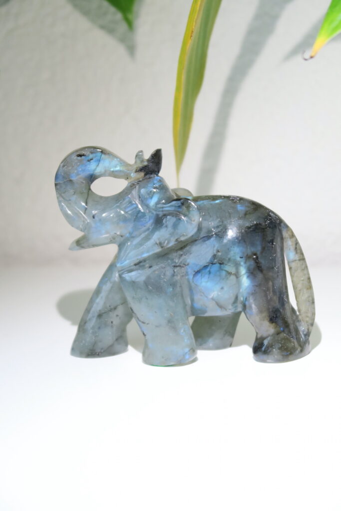 Olifant carving labradoriet linkerkant