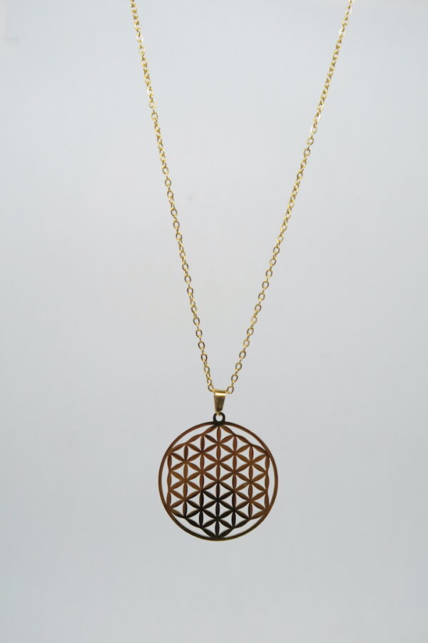 Flower of life ketting