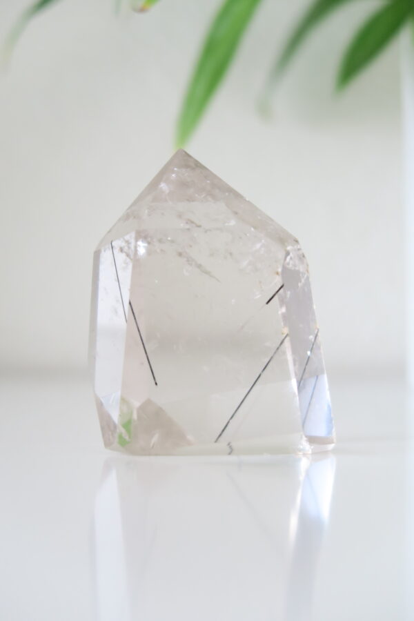 Bergkristal met Zwarte Toermalijn - Breng Harmonie en Bescherming in je Leven