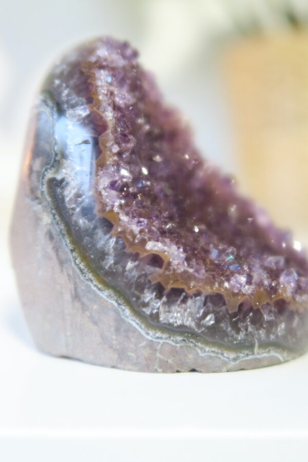 Druzy Uruguay Amethist Cluster met zelfstaande cut base en gepolijste rand, onthullend Agaat, Jaspis of Hematiet.