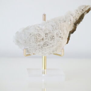 Witte Roos Calciet cluster met borniet onder daglicht