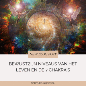 Bewustzijn niveaus van het leven en wat dit te maken heeft met chakra’s: