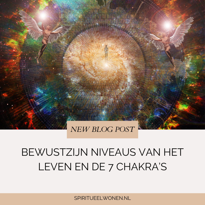 Bewustzijn niveaus van het leven en wat dit te maken heeft met chakra’s: