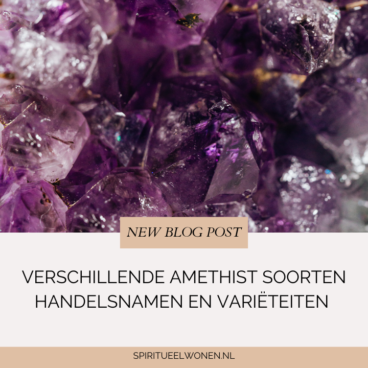 Close-up van diep paarse amethistkristallen met natuurlijke insluitsels, gebruikt als headerbeeld voor een blog over verschillende amethist soorten en handelsnamen.