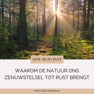Waarom de natuur ons zenuwstelsel tot rust brengt