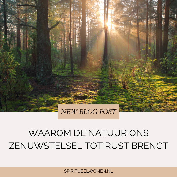 Waarom de natuur ons zenuwstelsel tot rust brengt