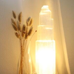 Seleniet lamp groot 32,5 cm met warme verlichting, droogbloemen en orgoniet piramide