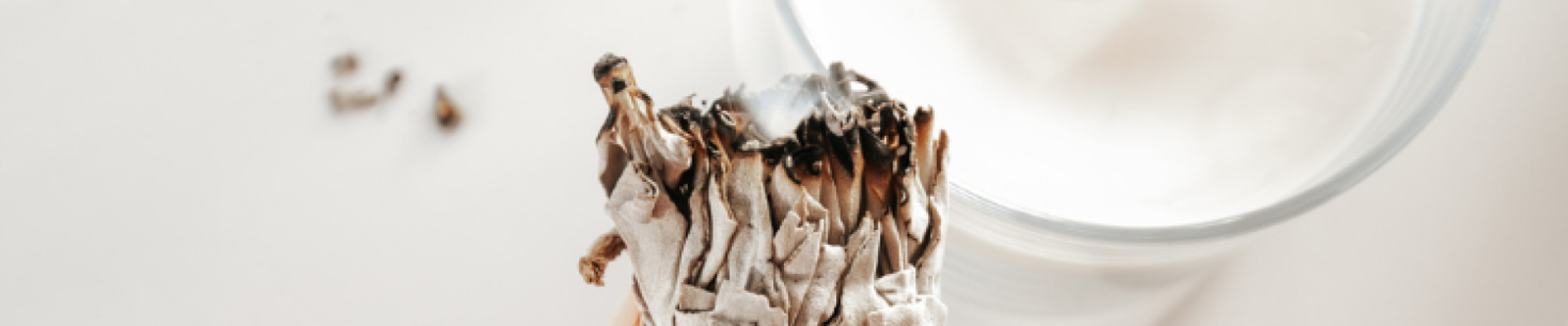 Reinig je energie met zuivering en bescherming edelstenen. Ontdek salie, palo santo en seleniet voor helderheid en energetische balans.
